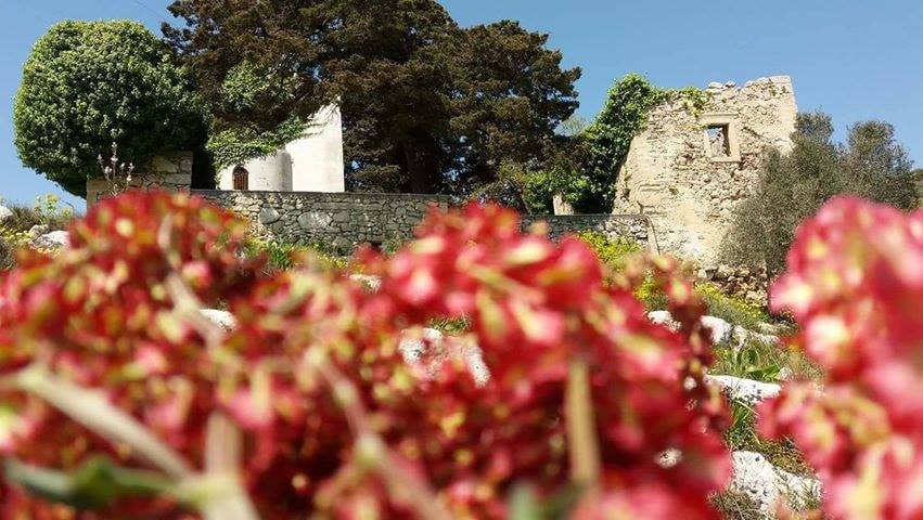 98807577_1148159085547829_3730776951728635904_n