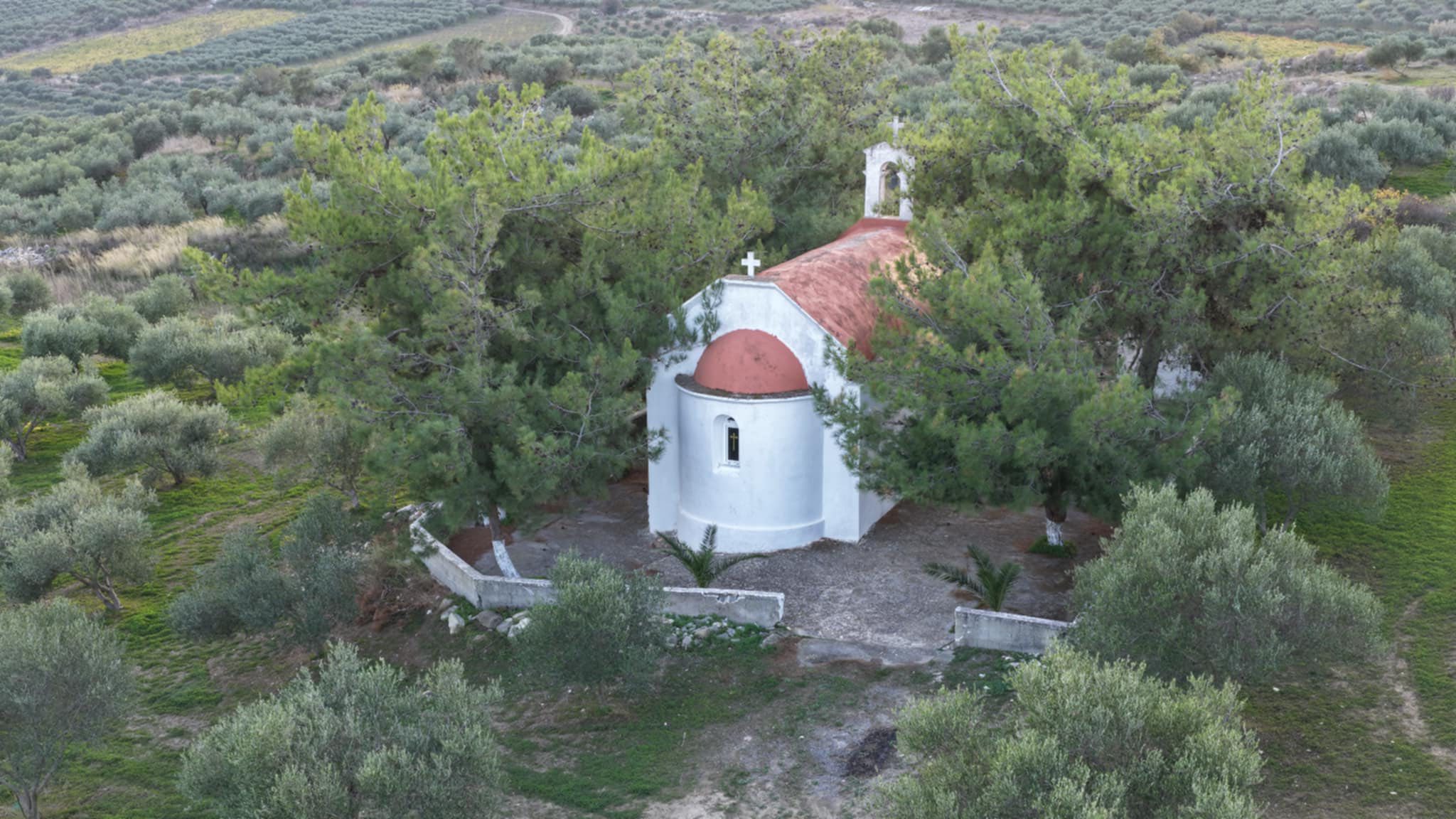 583321733_1133793652301725_3885345787908525484_n (1)