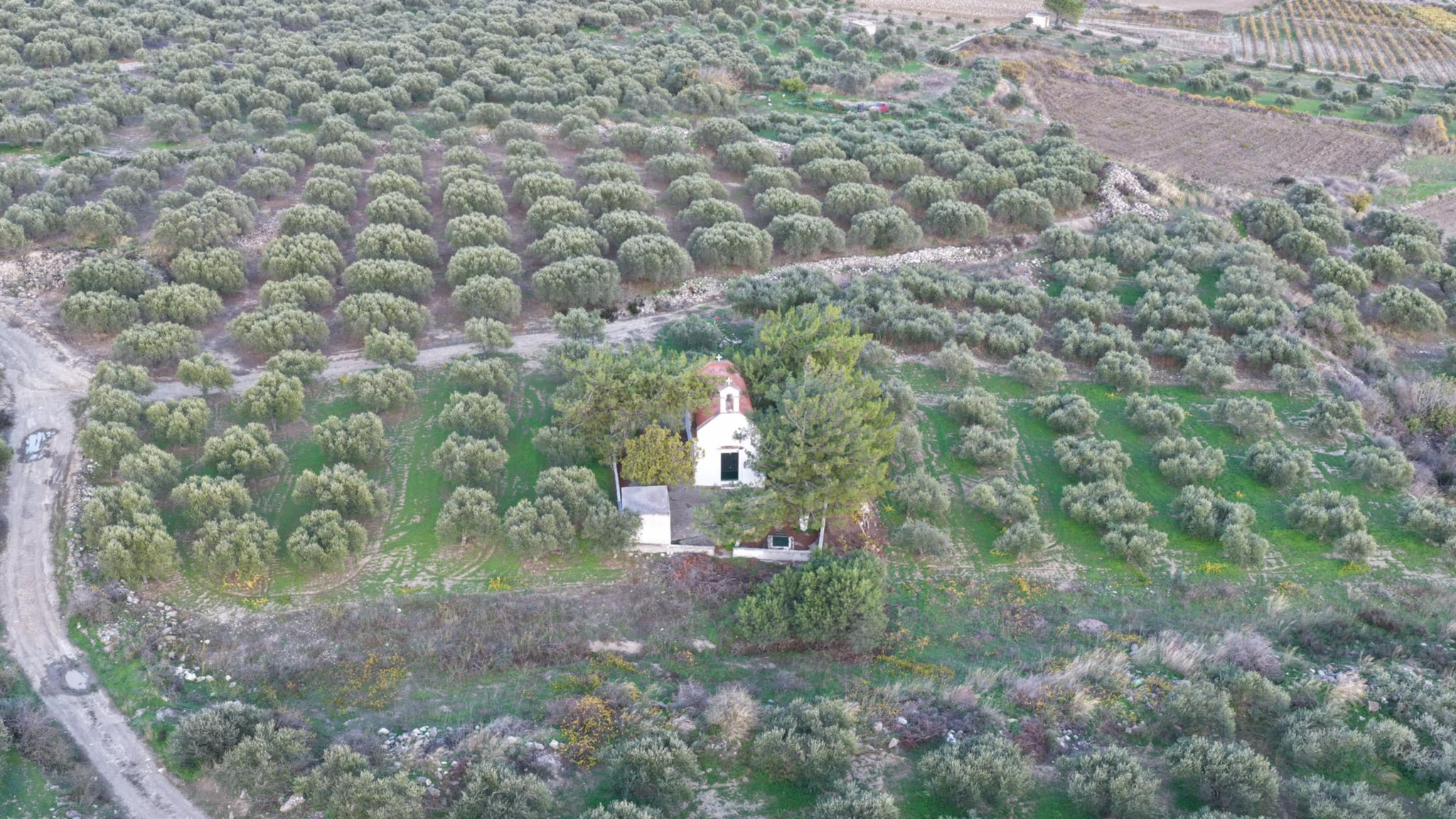 585074897_1133793682301722_4366279073997008163_n