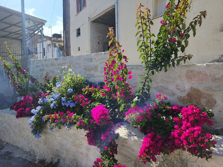 edf3b828-5be6-41c5-866c-b5675ff48f3e